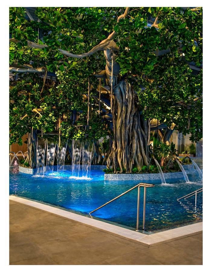 Amazonia Apartments ทิมิชัวรา ภายนอก รูปภาพ