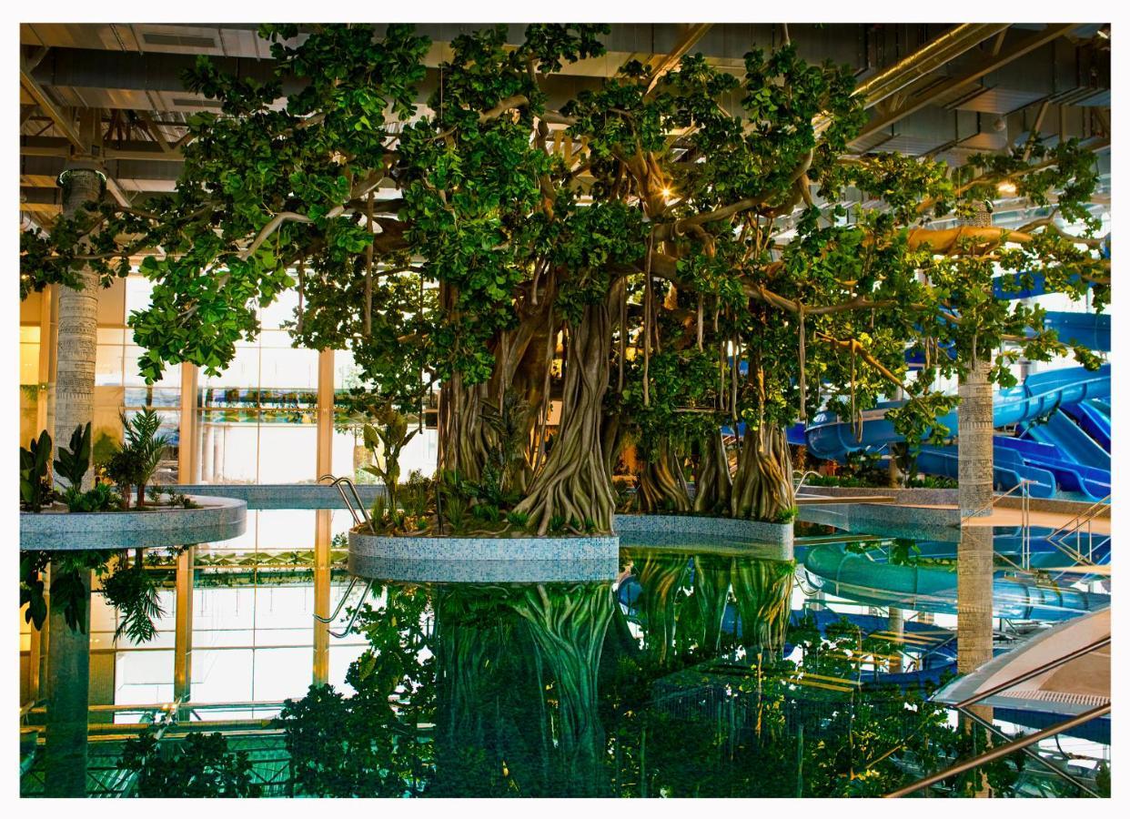 Amazonia Apartments ทิมิชัวรา ภายนอก รูปภาพ